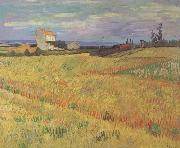 Wheat Field (nn04) Vincent Van Gogh